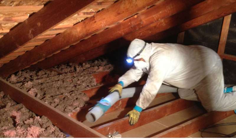 Worker removing insulation in home's attic.